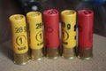 Close-up shotgun or 16 caliber shotgun ammunition on a yellow and red wood background