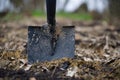 Shovel stuck in the ground, with dirt and mud blade Royalty Free Stock Photo