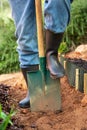 Close-up of shovel in dirt