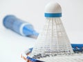 Close up of shuttlecock on a badminton racket Royalty Free Stock Photo