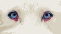 Close up siberian husky blue eyes vectorized Royalty Free Stock Photo