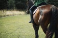 A close up of the side of a horse during a dressage movement shot Royalty Free Stock Photo