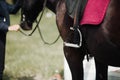 A close up of the side of a horse during a dressage movement shot Royalty Free Stock Photo