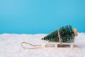 Close-up side profile view photo of green little fir tree on white wooden sledges