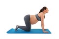 Pregnant woman at fitness training over white