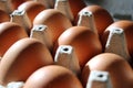 Brown chicken eggs in cardboard egg box, turned at an angle towards the viewer, close up side view from above. Royalty Free Stock Photo