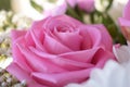 Close-up of a side view of a beautiful and delicate pink rose in a colorful bouquet. Spring concept