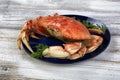 Close up side view of a single cooked large Dungeness crab and dark blue plate