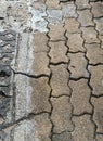 a close up of a sidewalk with a crack
