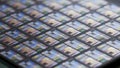 Closeup of a silicon wafer with multiple microchips showcasing advanced semiconductor technology and intricate circuit designs Royalty Free Stock Photo