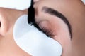 Silk Eyelash Extensions: Close-Up Beauty Studio Application Royalty Free Stock Photo