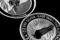 Close up of Silver Bullion Coin on a black mirror background