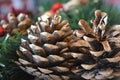 Close-up on silver colored pine cones in a Christmas wreath