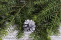 Close up of a silver pinecone ornament with real fir branches on white rustic wood for the Christmas or New Year holiday Royalty Free Stock Photo