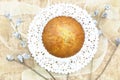 Close up single banana cup cake bakery top view on white doily paper look delicious on wooden background Royalty Free Stock Photo