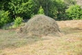 Close-up of a single big haystack near green forest in summer season. Hay stack on a field nearby a plum trees orchard - Image Royalty Free Stock Photo