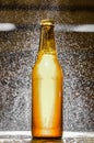 Close up of a single bottle of craft beer with water bubbles in the air on blurred background