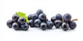 Close-up of single bunch of black muscat grapes on light gray background. Grapes arranged in circular pattern, some overlapping