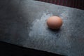 Close up of single chicken egg in the backyard Royalty Free Stock Photo