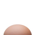 Close up of single chicken egg in the backyard Royalty Free Stock Photo