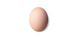 Close up of single chicken egg in the backyard Royalty Free Stock Photo