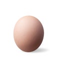 Close up of single chicken egg in the backyard Royalty Free Stock Photo