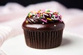 a close-up of a single chocolate cupcake with sprinkles Royalty Free Stock Photo