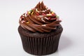 a close-up of a single chocolate cupcake with sprinkles Royalty Free Stock Photo