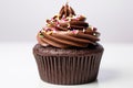 a close-up of a single chocolate cupcake with sprinkles Royalty Free Stock Photo