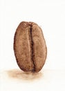 Close up single coffee bean picture for design