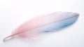 Close up of a single , colored feather isolated on a single color background