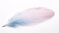 Close up of a single , colored feather isolated on a single color background