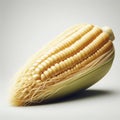 close up Single ear of corn isolated on white background. ai generative Royalty Free Stock Photo