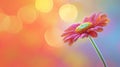 A close up of a single flower with colorful background, AI