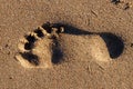 Close-up of single footprint on the sand beach Royalty Free Stock Photo