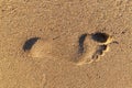 Close-up of single footprint on the sand beach. Top view Royalty Free Stock Photo