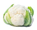 Close up of single fresh ripe white cauliflower head with some green leaves isolated on white background with clipping path, Royalty Free Stock Photo