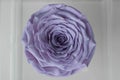 Close-up of a single light purple rose in a clear, transparent cube-shaped flower boxÃ¢â¬âa top-down view of a gift box