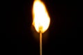 Close up Single matchstick burning isolated on black background Royalty Free Stock Photo