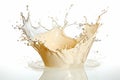 Close up of a single milk splash suspended in mid air isolated on a clean white background