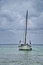 Close up of Single motor boat on a Caribbean beach