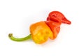 Single Multicolored pepper isolated on white background