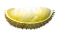 Close up of single part of ripe yellow durian flesh with shell isolated on white background with clipping path