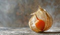 Close-up of a single physalis fruit with a broken husk Royalty Free Stock Photo