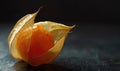 Close-up of a single physalis fruit with a broken husk Royalty Free Stock Photo