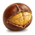Close Up of a Single Roasted Chestnut with Brown Shell on White Background Royalty Free Stock Photo
