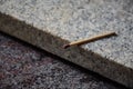 Close up of single small match stick