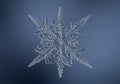 Close-up of a single snowflake, showing its intricate hexagonal structure with six symmetrical arms Royalty Free Stock Photo