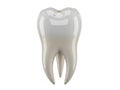 Close-up of a single tooth Royalty Free Stock Photo