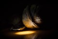 Close up of a single walnut next to remains of a cracked shell in a small bright spotlight and darkness all around Royalty Free Stock Photo